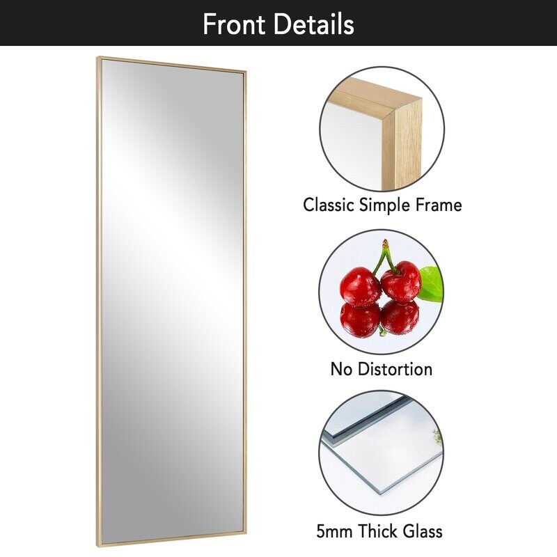 Aluminum Alloy Matte Frame Floor Mirror Dressing Hanging Mirror