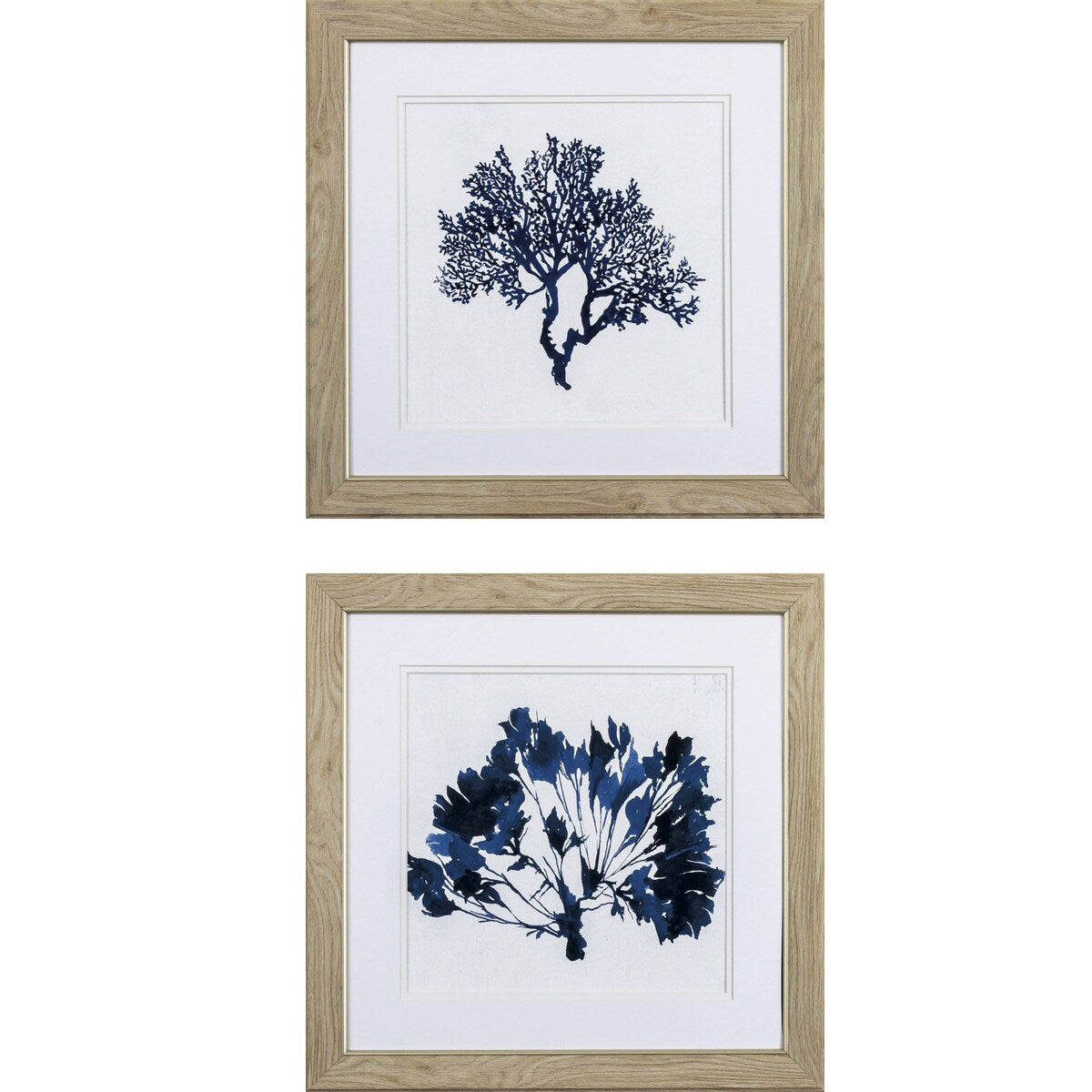 Indigo Coral B S/2 Framed Art Under glass