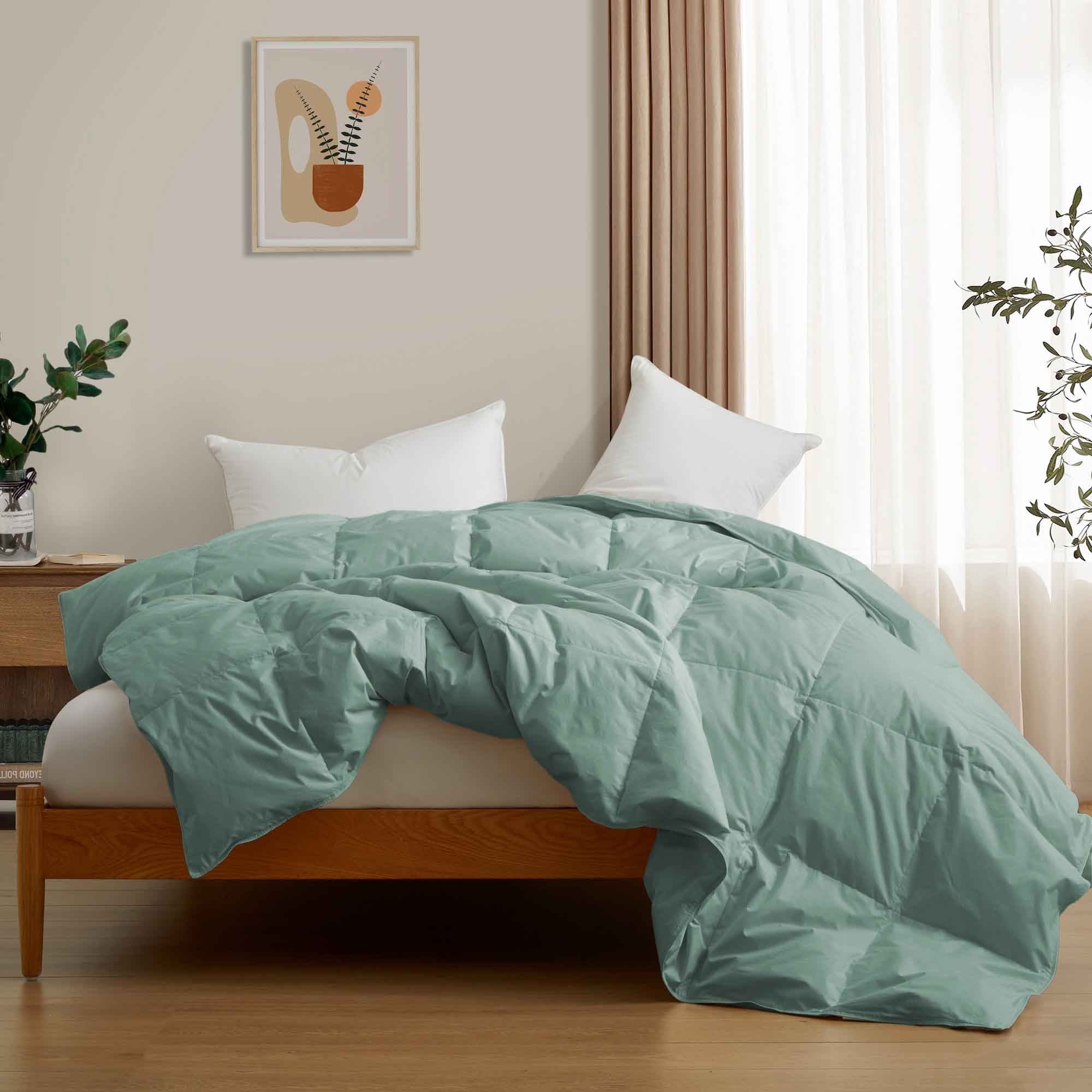 Lightweight Oversize Down Fiber Comforter Bed Blanket with 100% Organic Cotton Cover