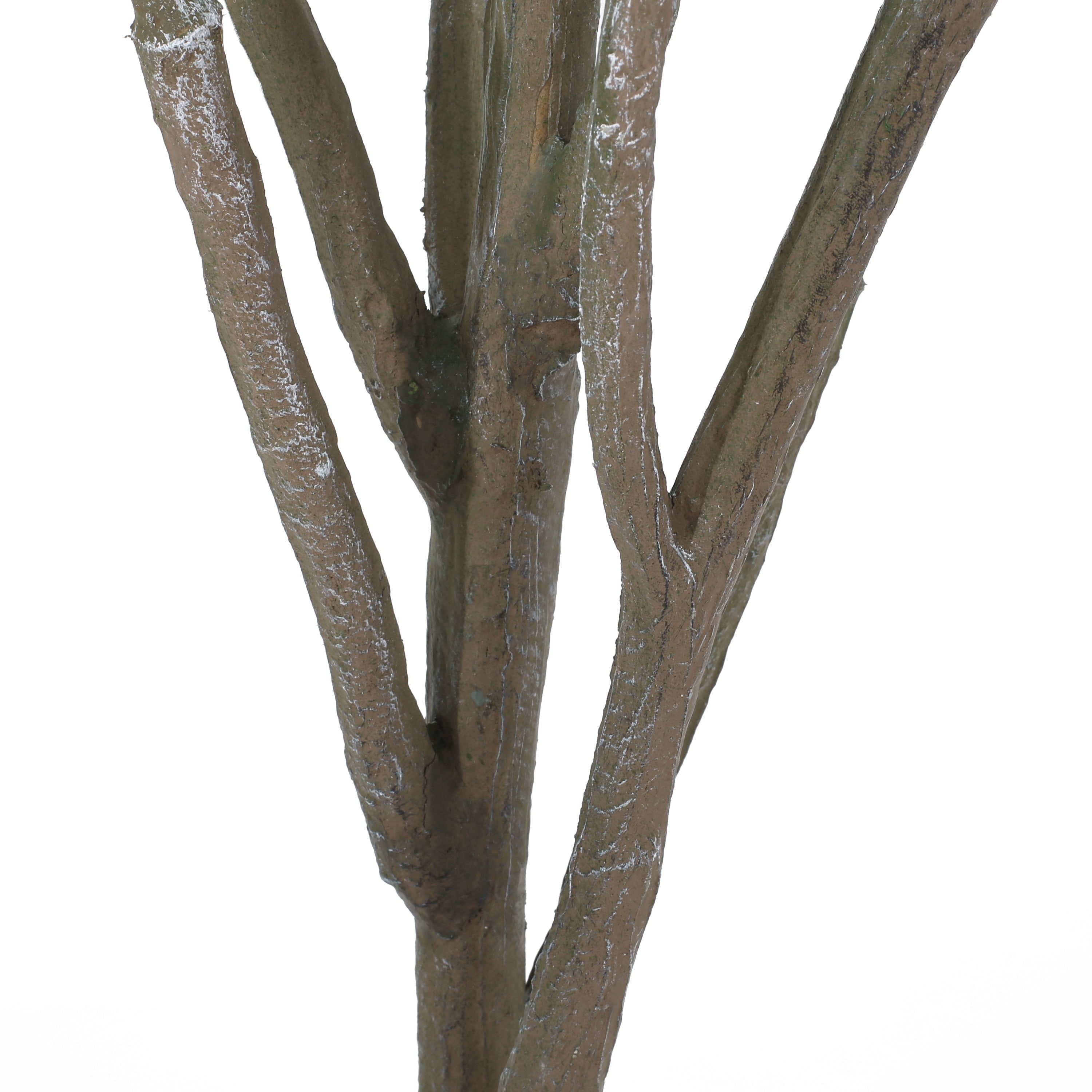 Gerald Artificial Leaf Tree by Christopher Knight Home