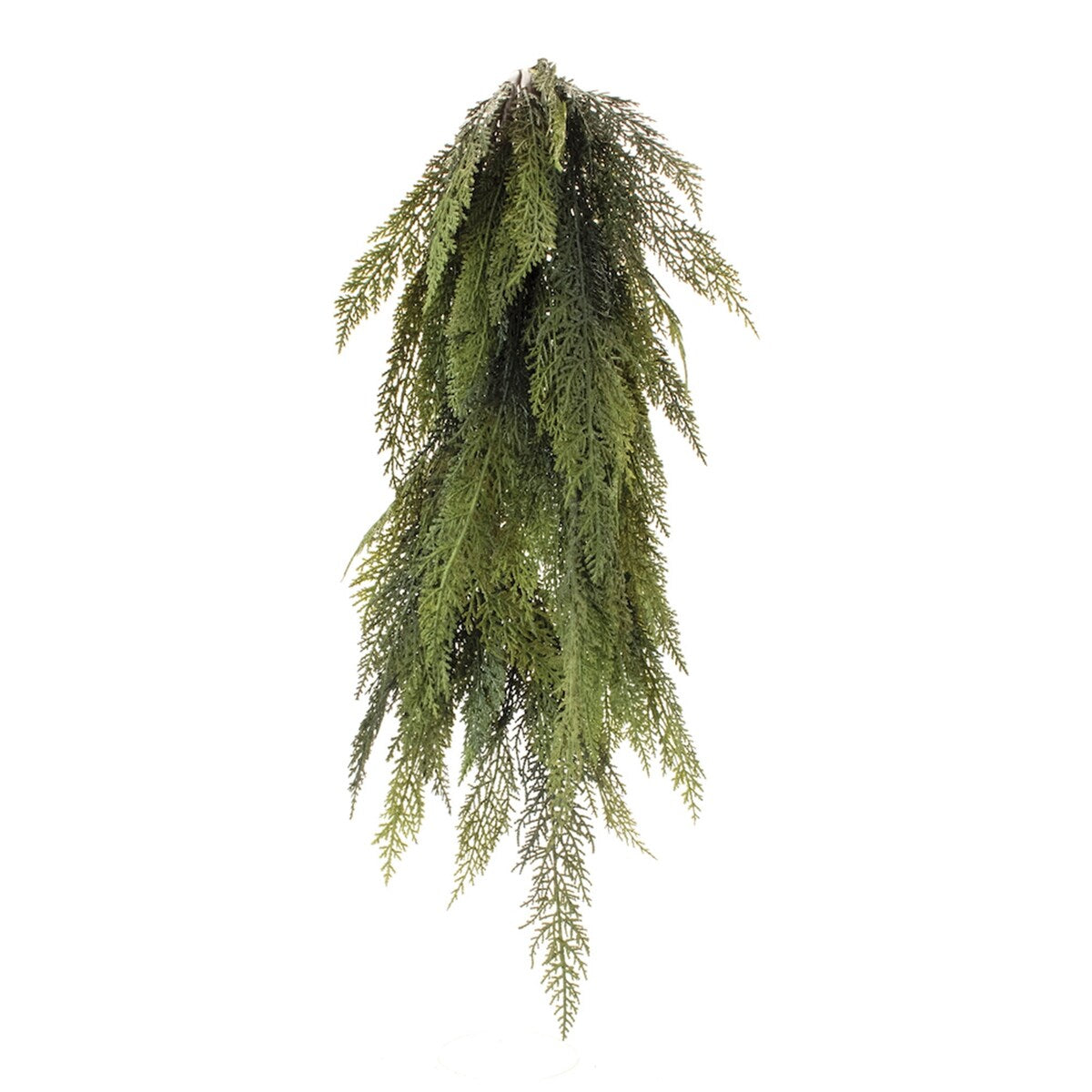 Variegated Pine Swag (Set of 2) - Green