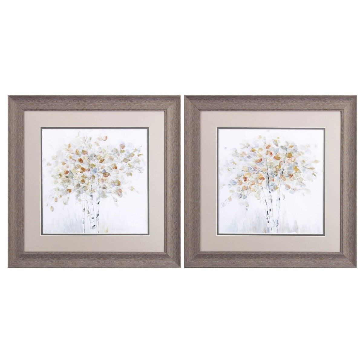 Birch Grove S/2 Framed Art Under glass