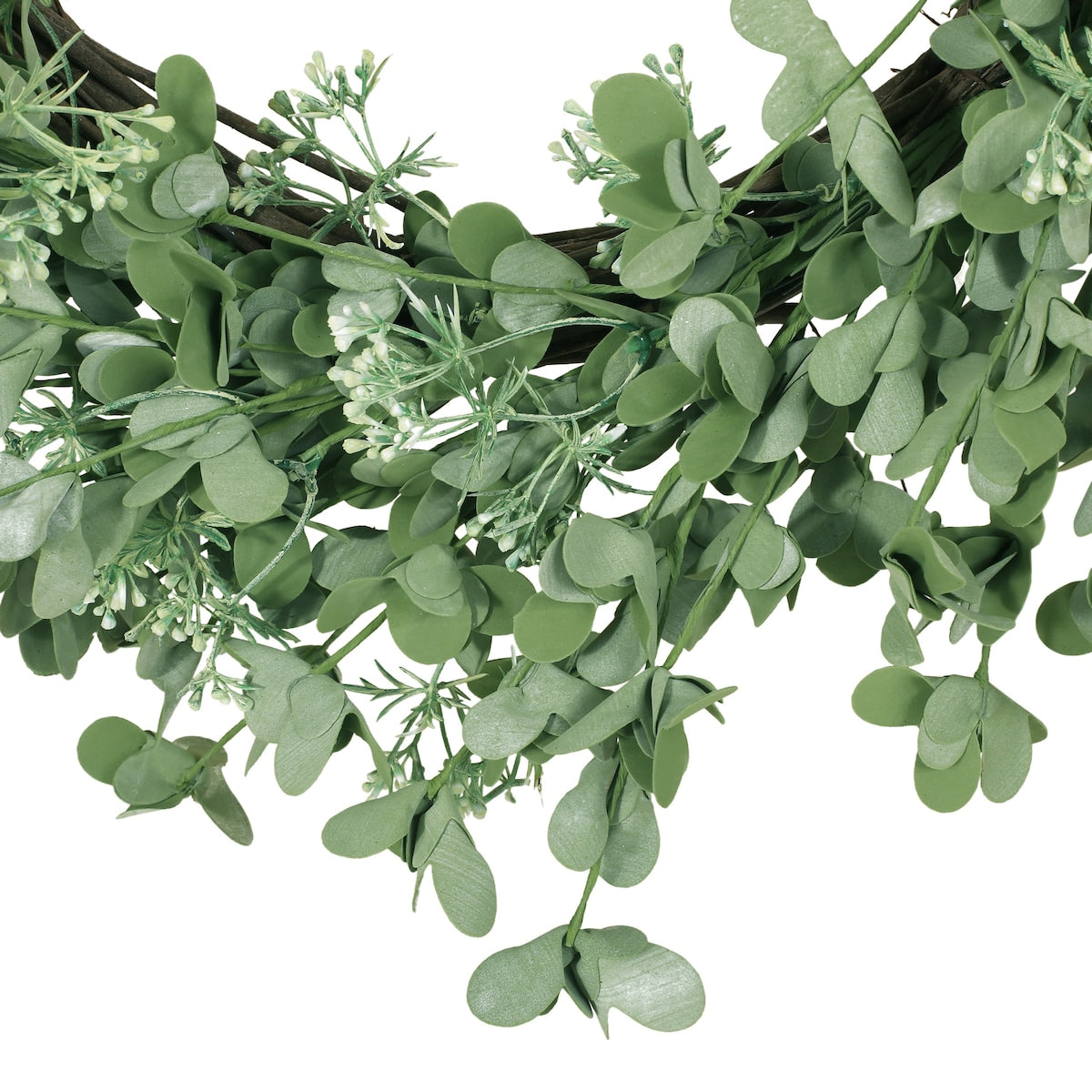 27 Oxalis Corniculata Wreath - As Picture Show