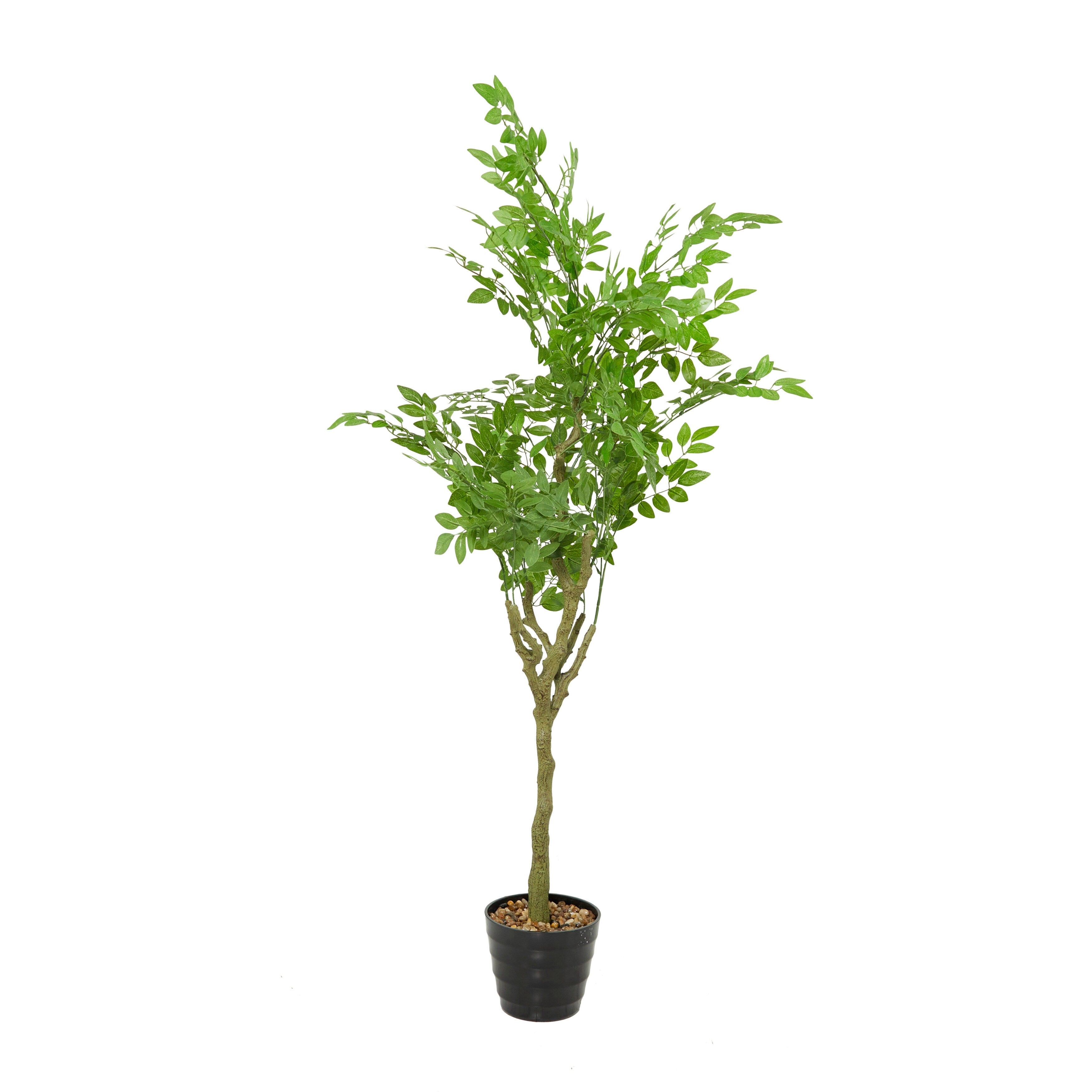 Green Faux Foliage Indoor Outdoor Weeping Fig Artificial Tree with Realistic Leaves and Black Melamine Pot - 39 x 39 x 61