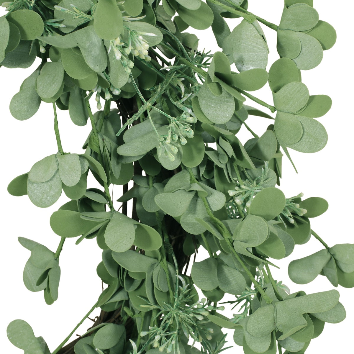 27 Oxalis Corniculata Wreath - As Picture Show