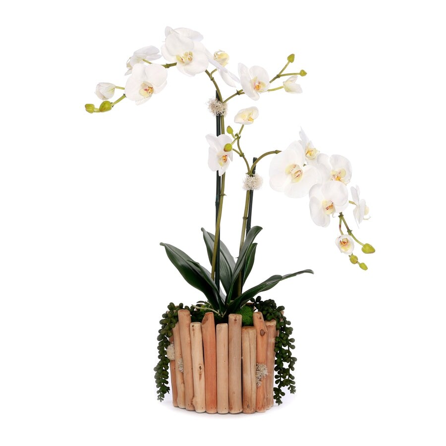 Real Touch Orchids in Glass Vase Wood Branches Planter - White