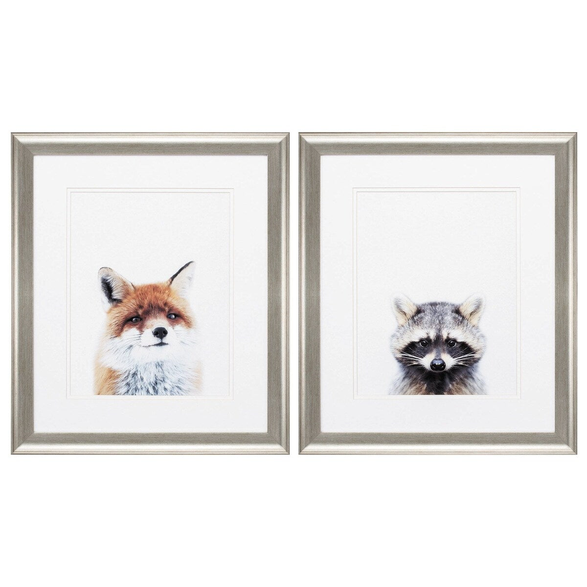 Fox Racoon S/2 Framed Art Under glass