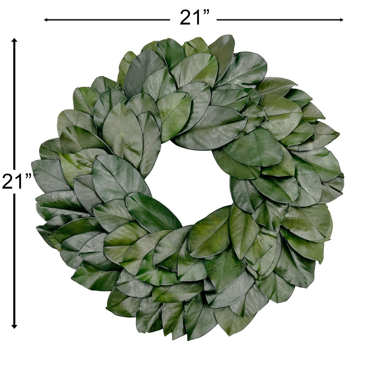 Preserved Decorative Dried Real Magnolia Wreath 21 Inch - Green