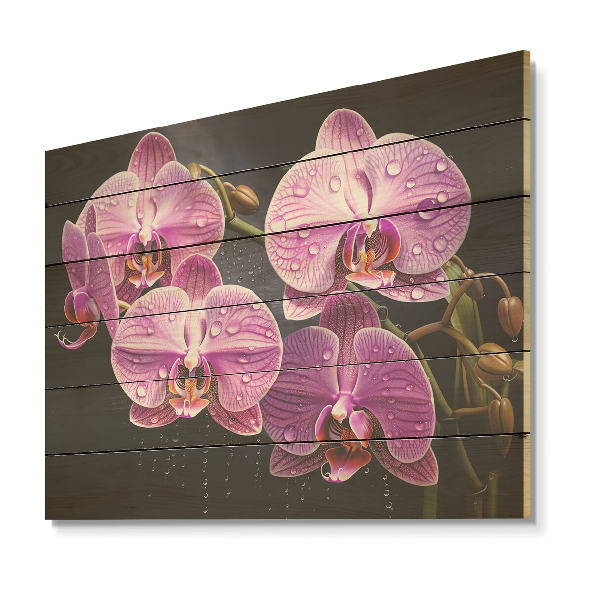 Designart Pink Orchids Oasis Orchids Wood Wall Decor - Traditional Pink Wood Panel On Natural Pine Wood