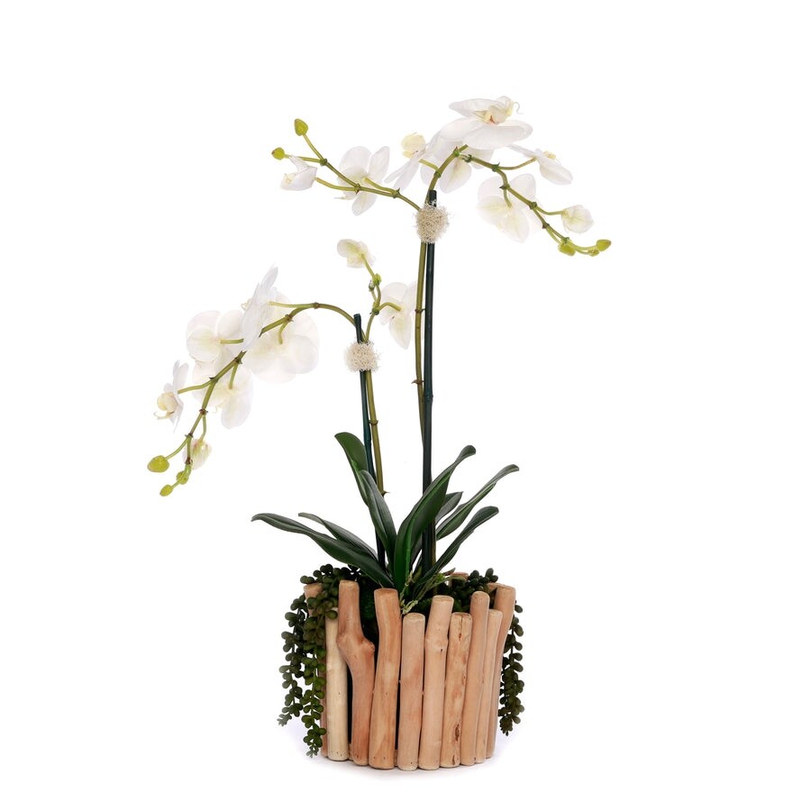 Real Touch Orchids in Glass Vase Wood Branches Planter - White