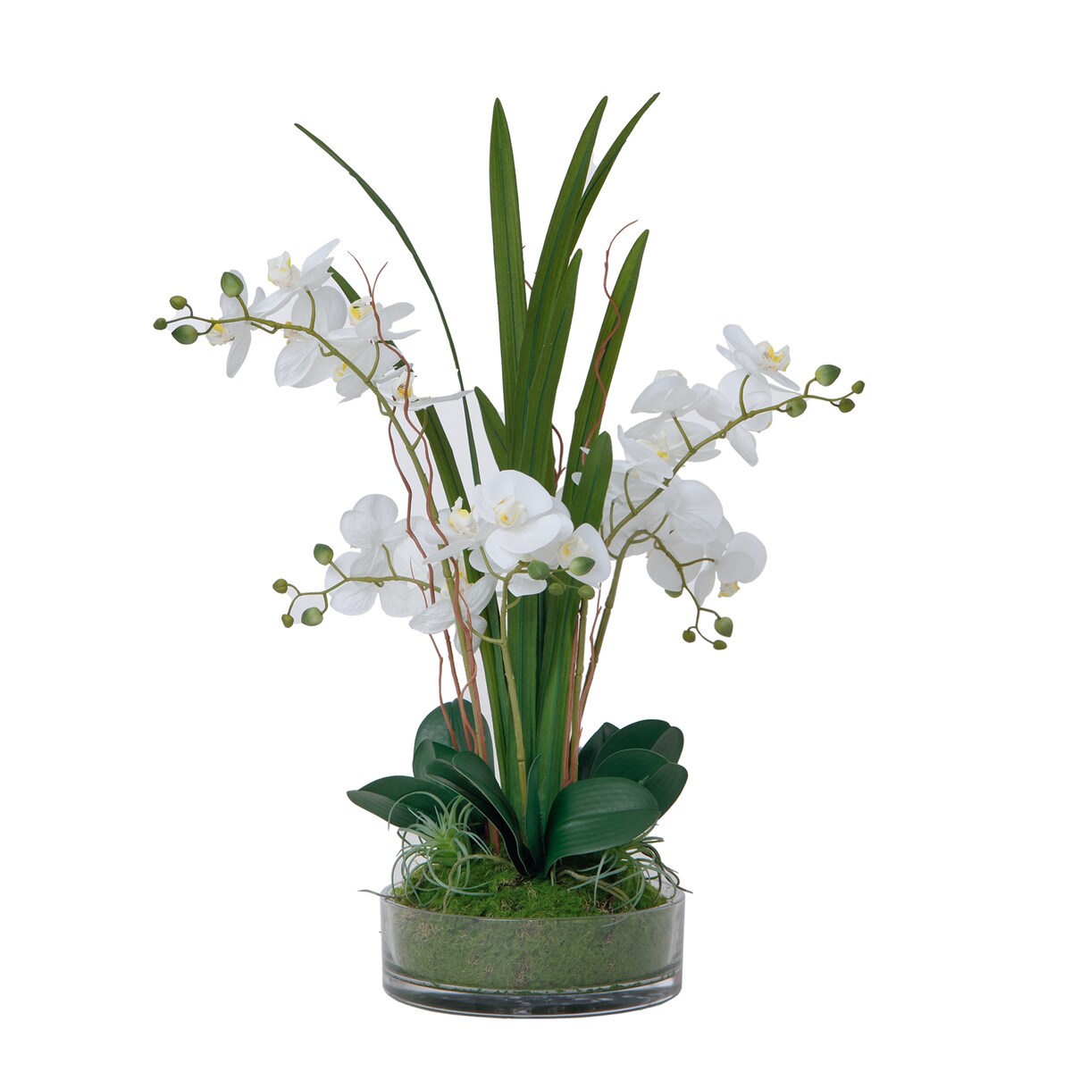 29.5 White Orchid Arrangement in a Glass Vase| Real Touch White Moth Phalaenopsis Orchids - Green