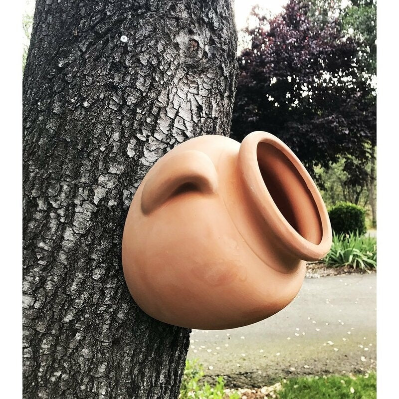 Natural Terracotta Fallen Pot or Hanging Pot with Loops Handles