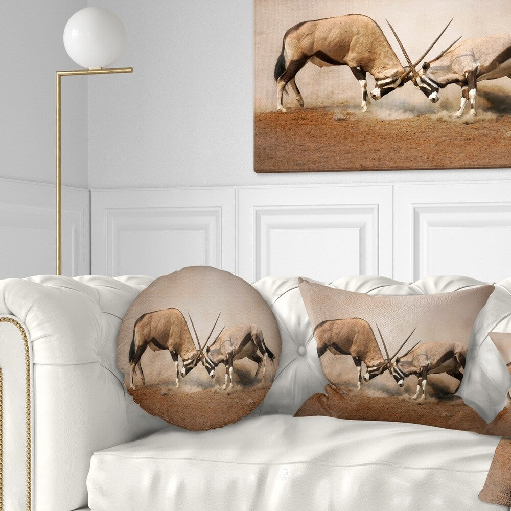 Designart 'Gemsbok Antelopes Fighting' African Wall Throw Pillow