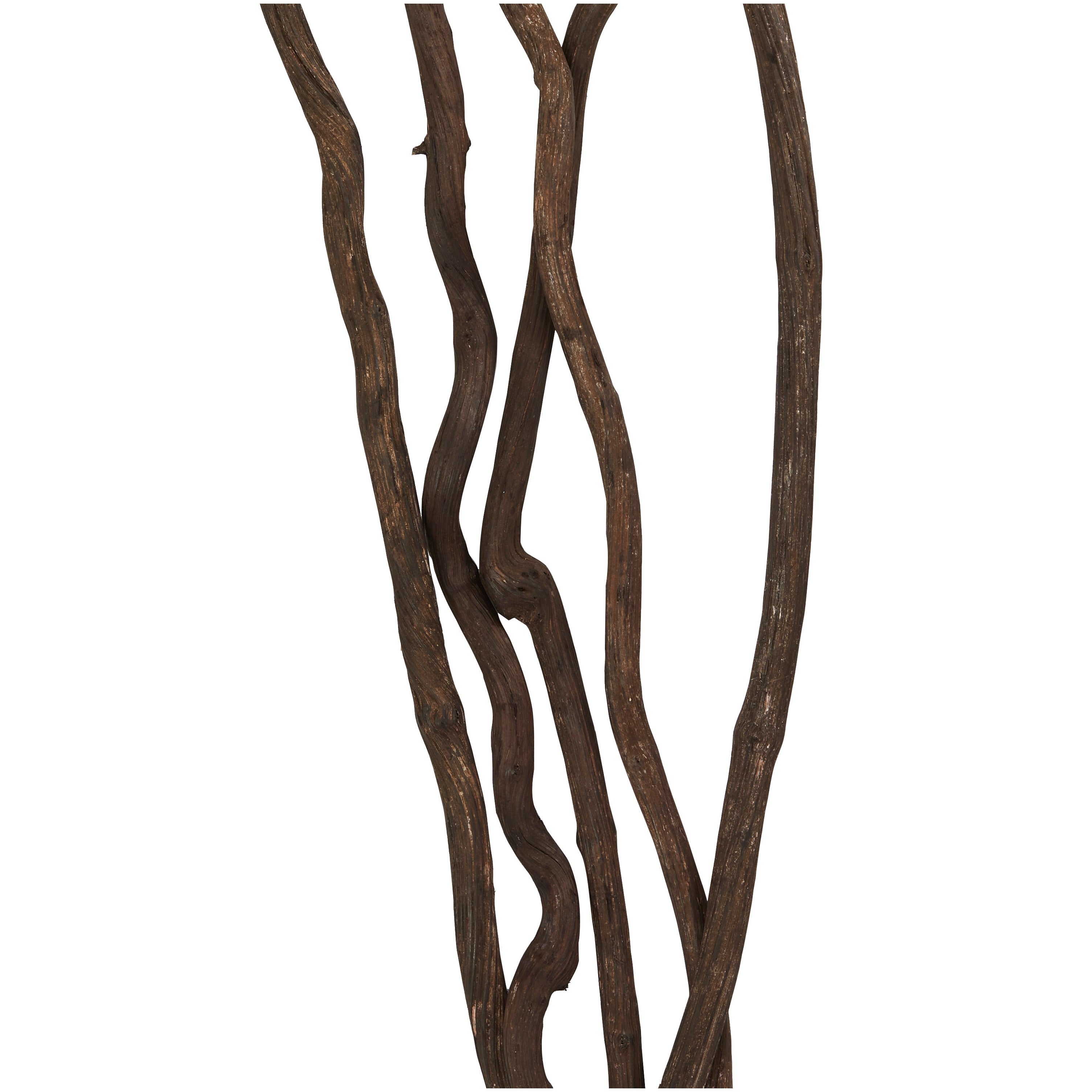 Cream or Dark Brown Wood Tall Branch Dula Log Natural Foliage