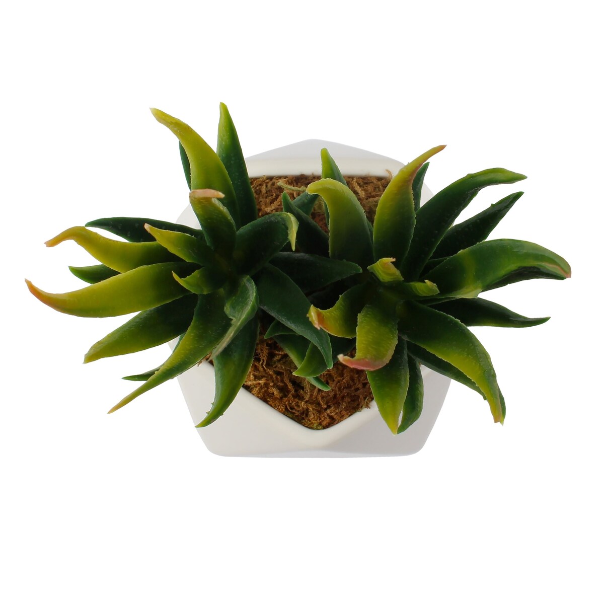 Artificial Succulent