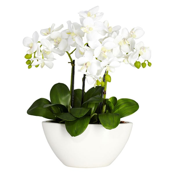 Phalaenopsis Orchid Silk Flower Arrangement - White