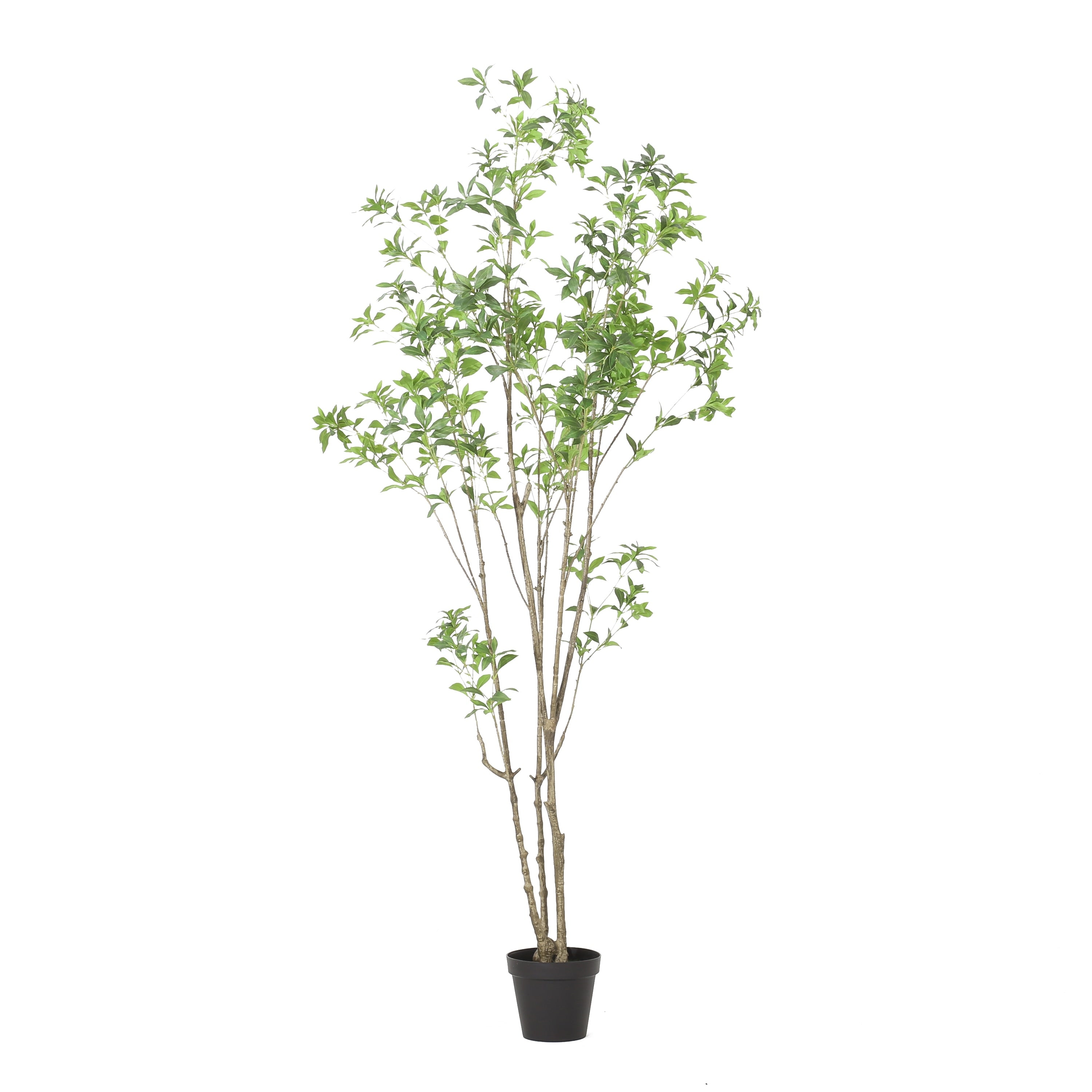 Bergweg Artificial Pieris Tree by Christopher Knight Home