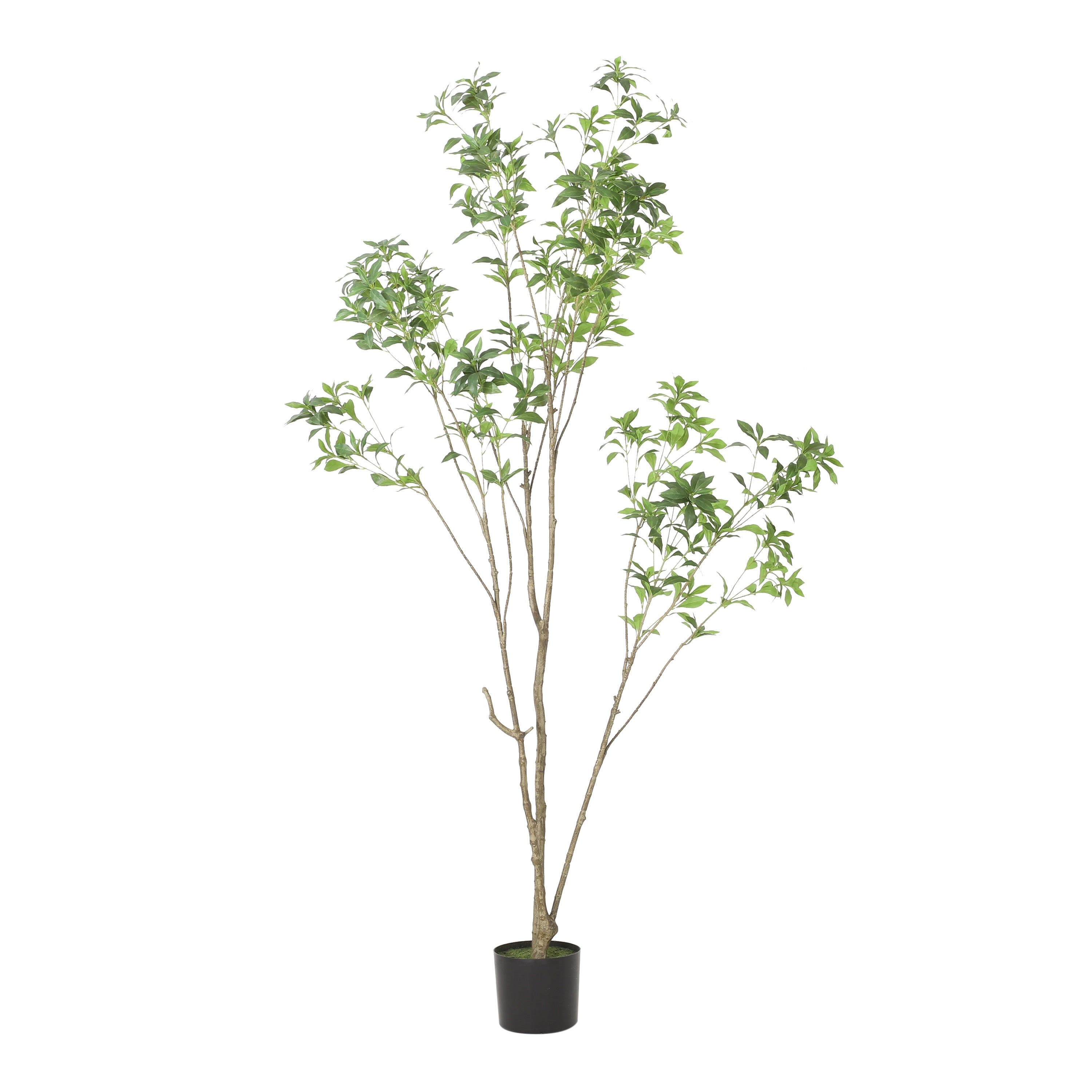 Bergweg Artificial Pieris Tree by Christopher Knight Home