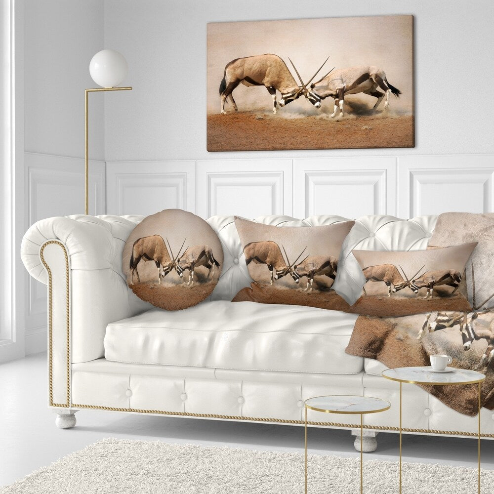 Designart 'Gemsbok Antelopes Fighting' African Wall Throw Pillow