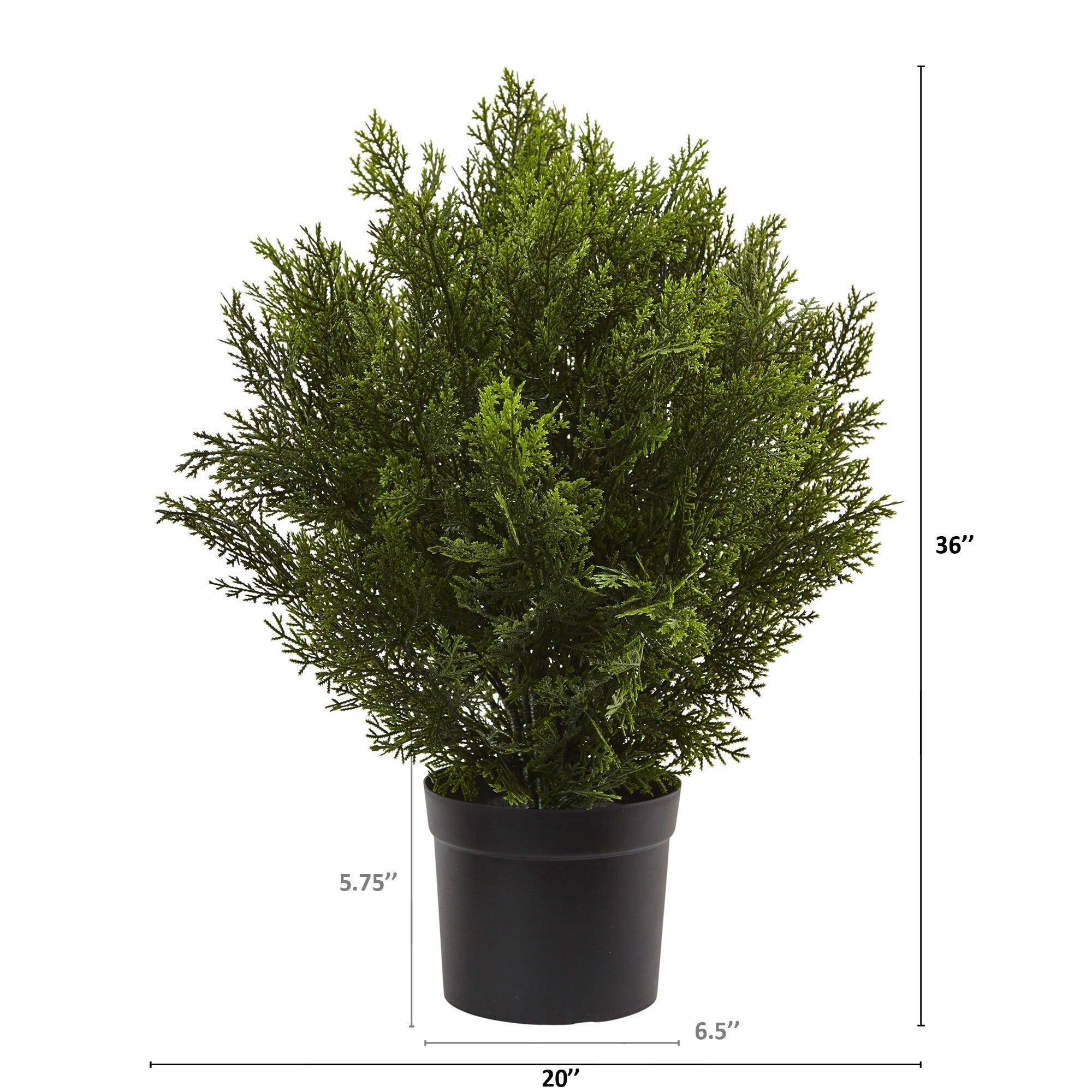 2-foot Indoor/Outdoor Cedar Bush - Green