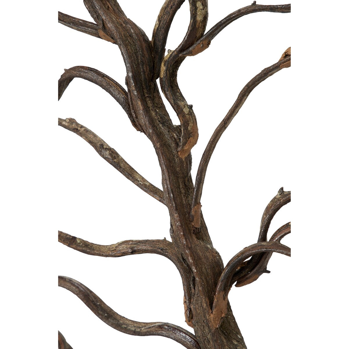 Wood Tree Branch Home Wall Decor with Black Frame - Brown - Roche River Decor