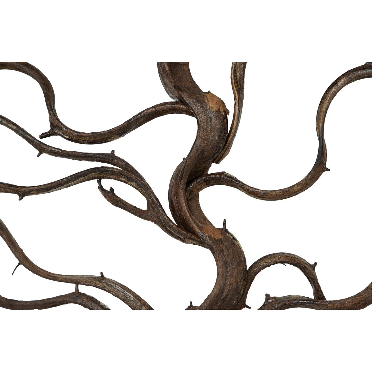 Wood Tree Branch Home Wall Decor with Black Frame - Brown - Roche River Decor