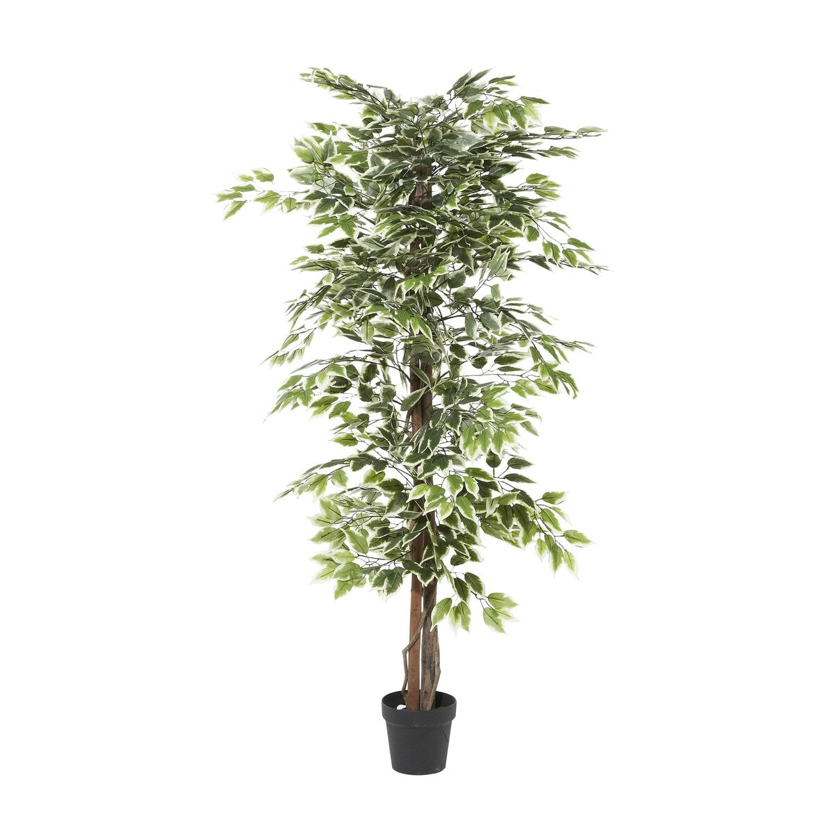 Faux Foliage Ficus Artificial Tree with Realistic Leaves and Black Plastic Pot - Green - Roche River Decor