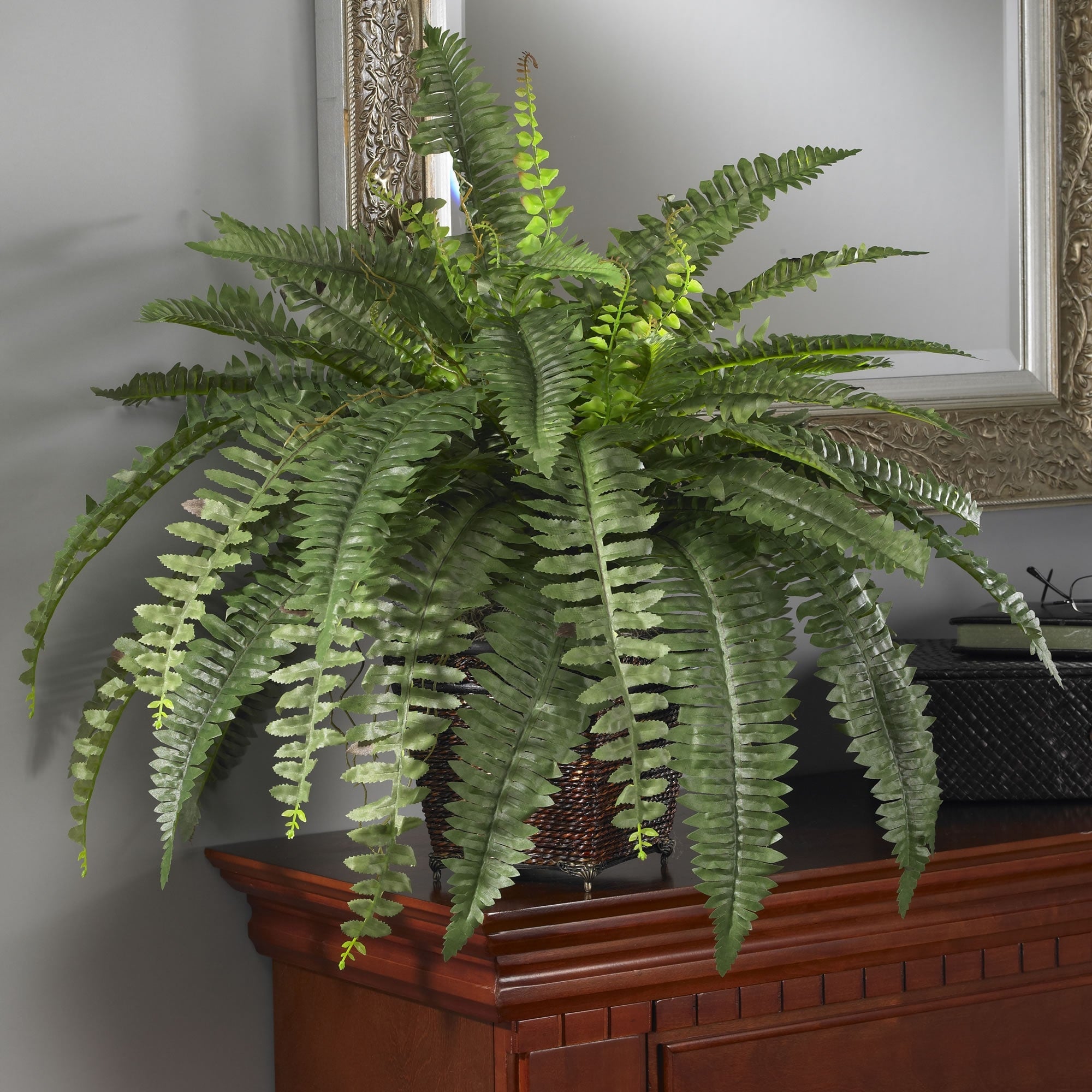 The Curated Nomad Zaius Silk Boston Fern with Wood Wicker Basket - Green