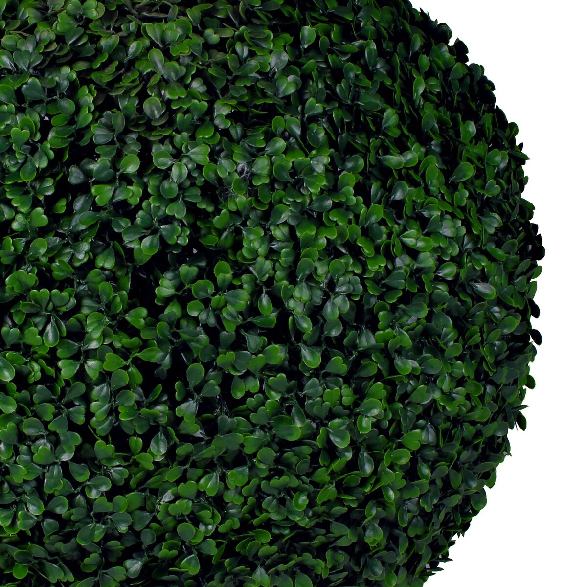 Boxwood Topiary Ball