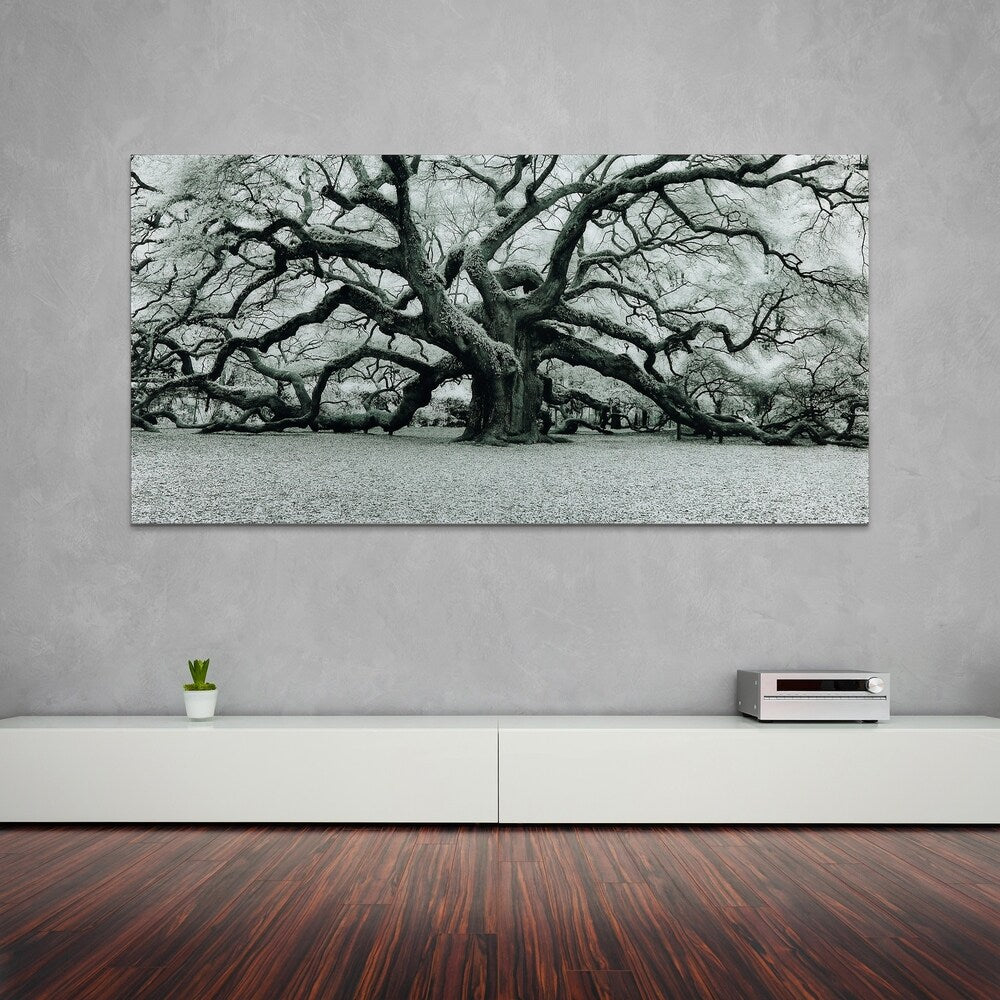 The Angel Oak Frameless Free Floating Tempered Art Glass Wall Art by EAD Art Coop