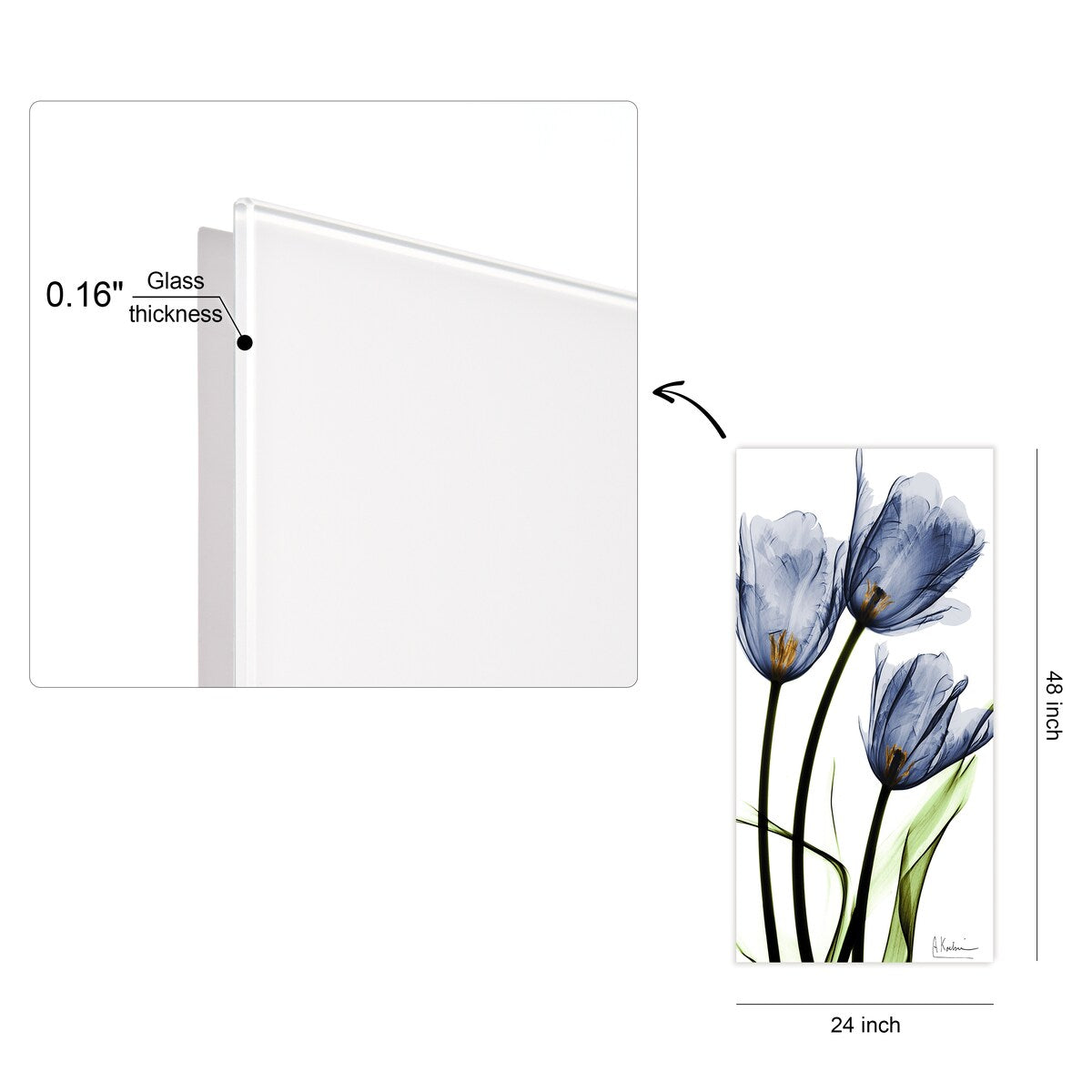 Three Blue Tulips Frameless Free Floating Tempered Glass Panel Graphic Wall Art