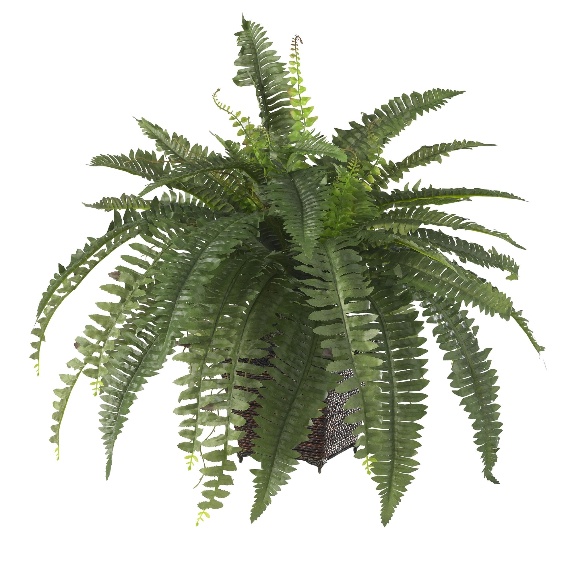 The Curated Nomad Zaius Silk Boston Fern with Wood Wicker Basket - Green