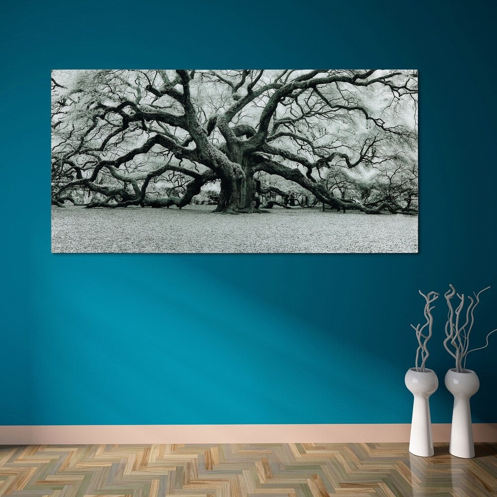 The Angel Oak Frameless Free Floating Tempered Art Glass Wall Art by EAD Art Coop