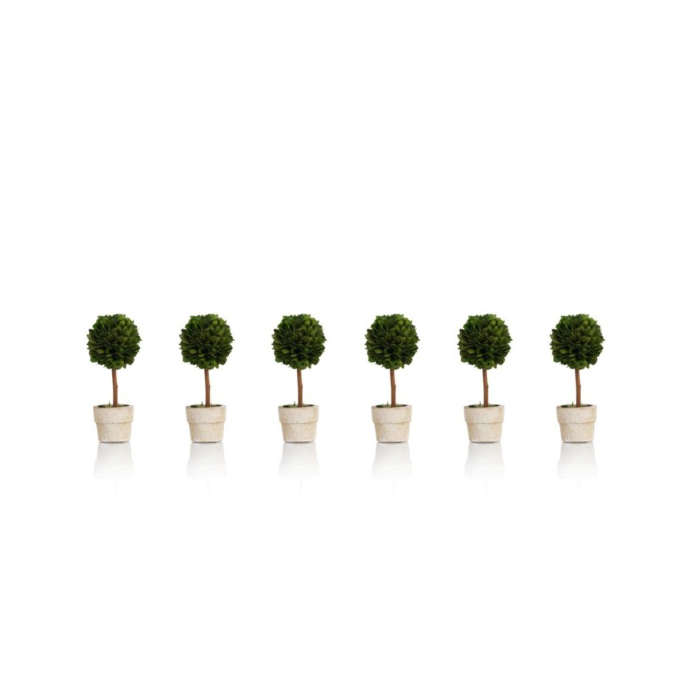 6 Tall Preserved Boxwood Topiary, Ball Shaped (Set of 6)