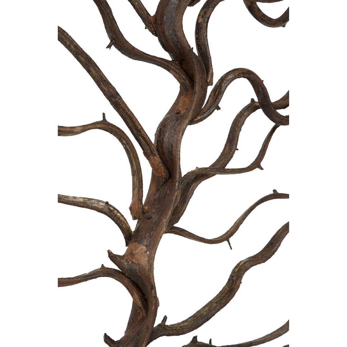 Wood Tree Branch Home Wall Decor with Black Frame - Brown - Roche River Decor