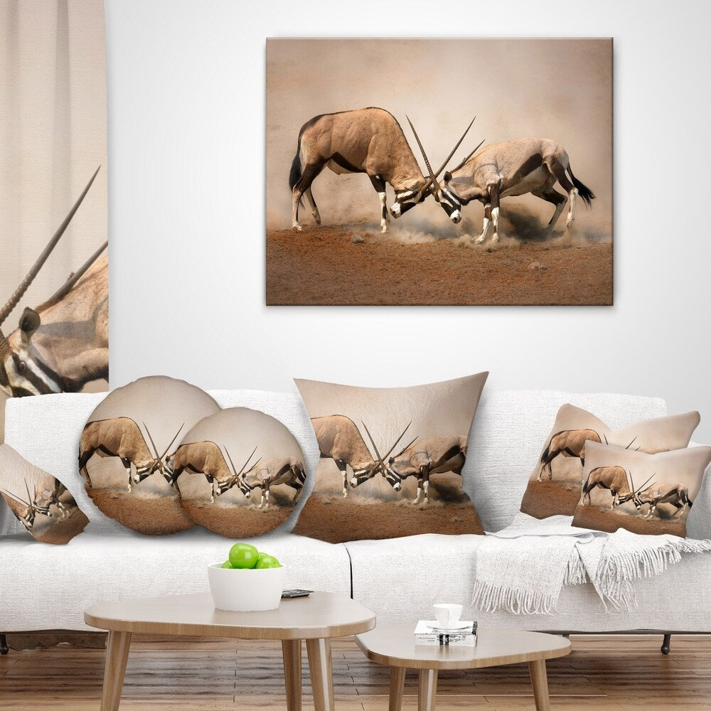 Designart 'Gemsbok Antelopes Fighting' African Wall Throw Pillow