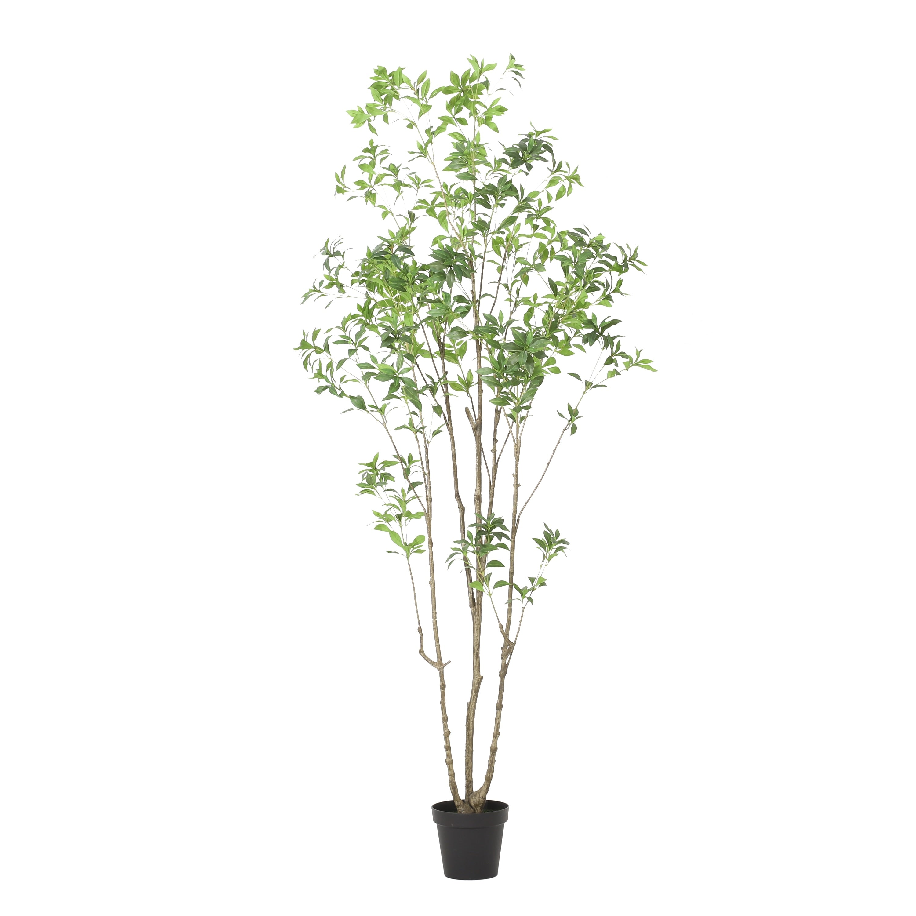 Bergweg Artificial Pieris Tree by Christopher Knight Home