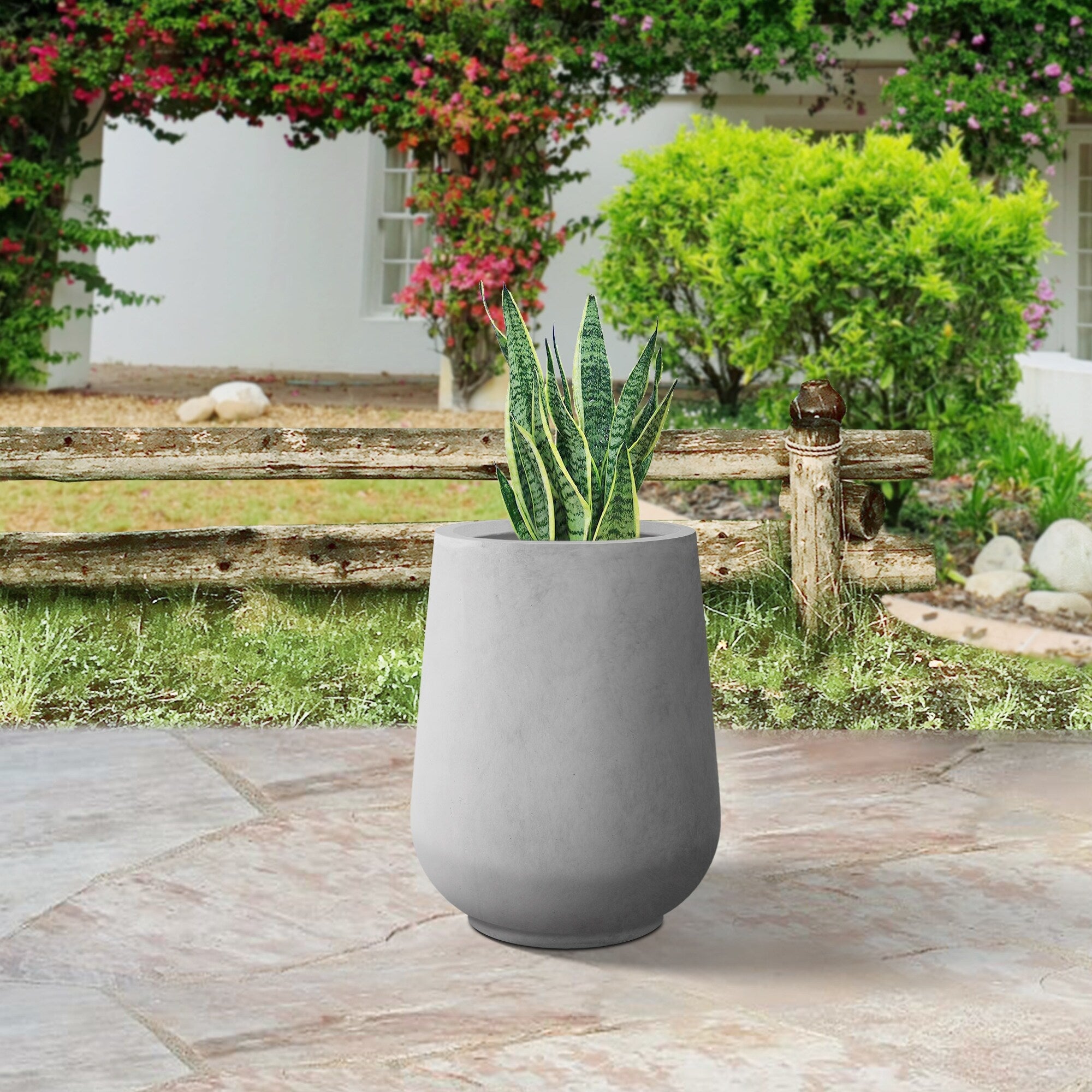 Plantara 14 H Round Raw Concrete Planter pot, Modern planter with Drainage Hole,Flower Pot for Outdoor