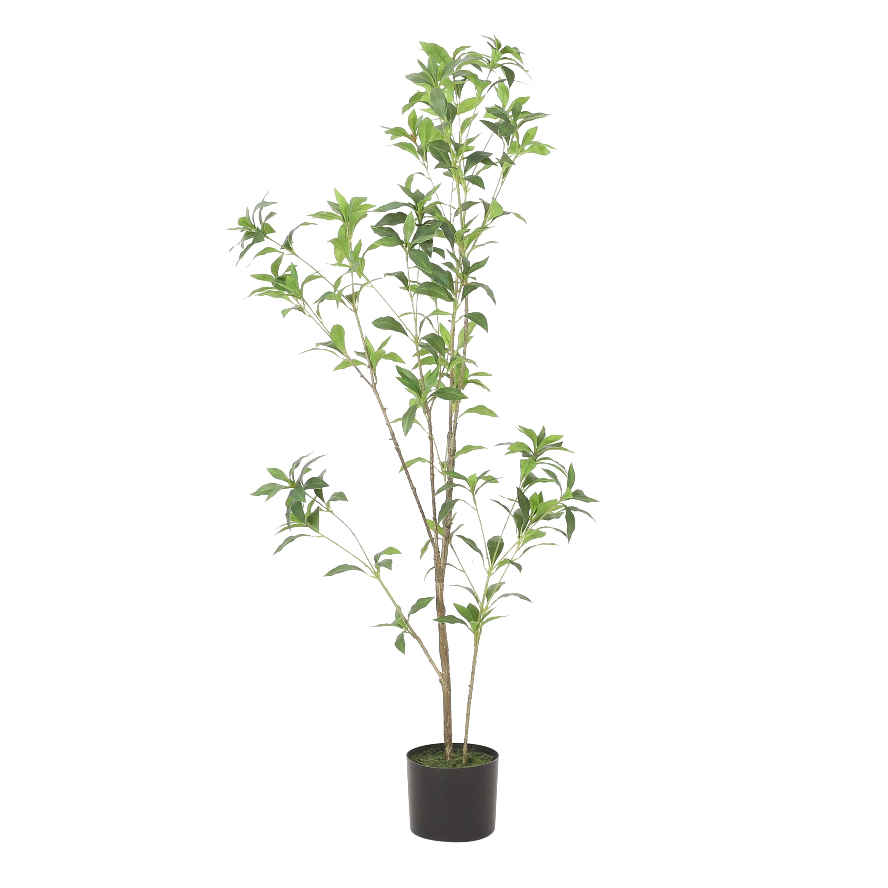 Bergweg Artificial Pieris Tree by Christopher Knight Home