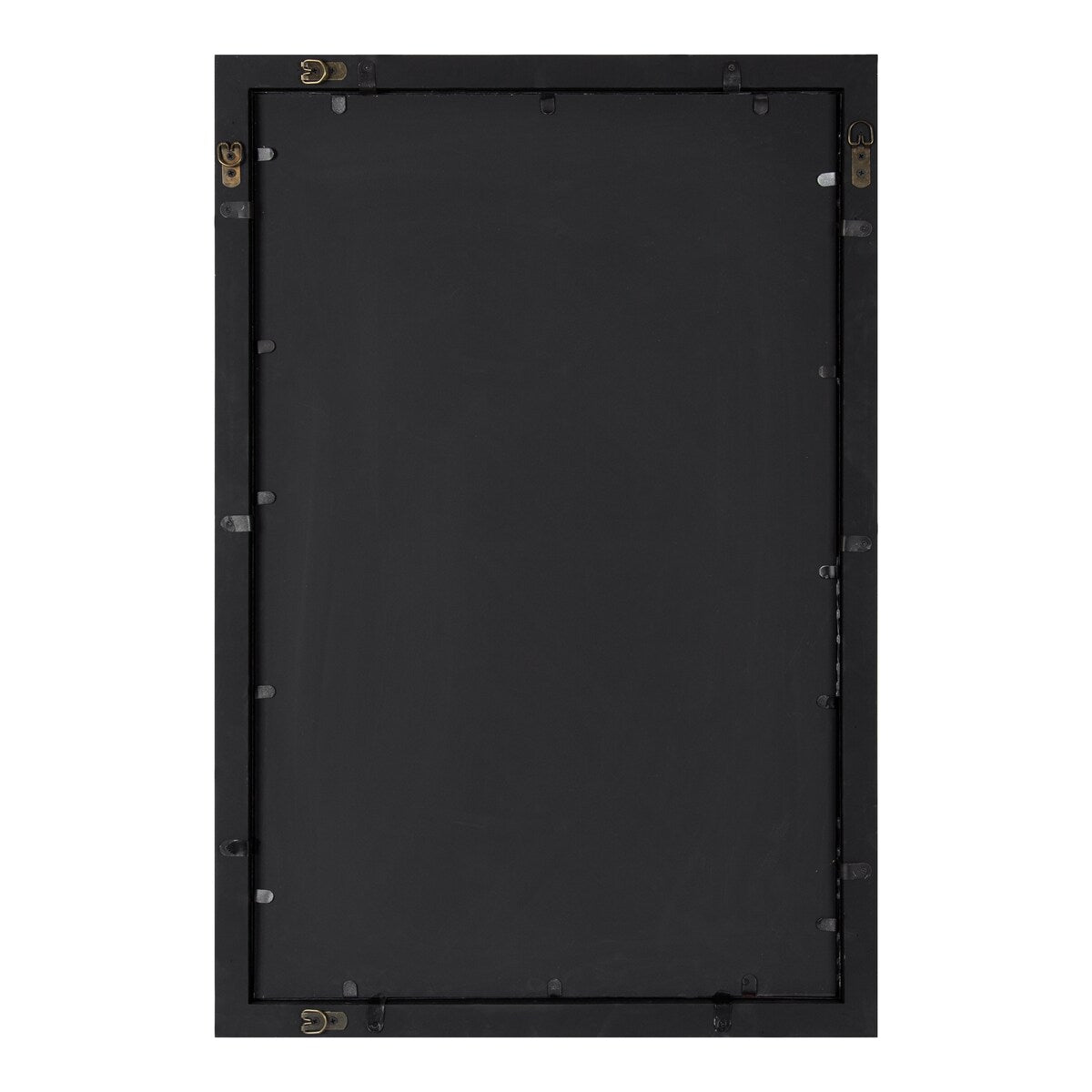 Kate and Laurel Audubon Framed Wall Mirror