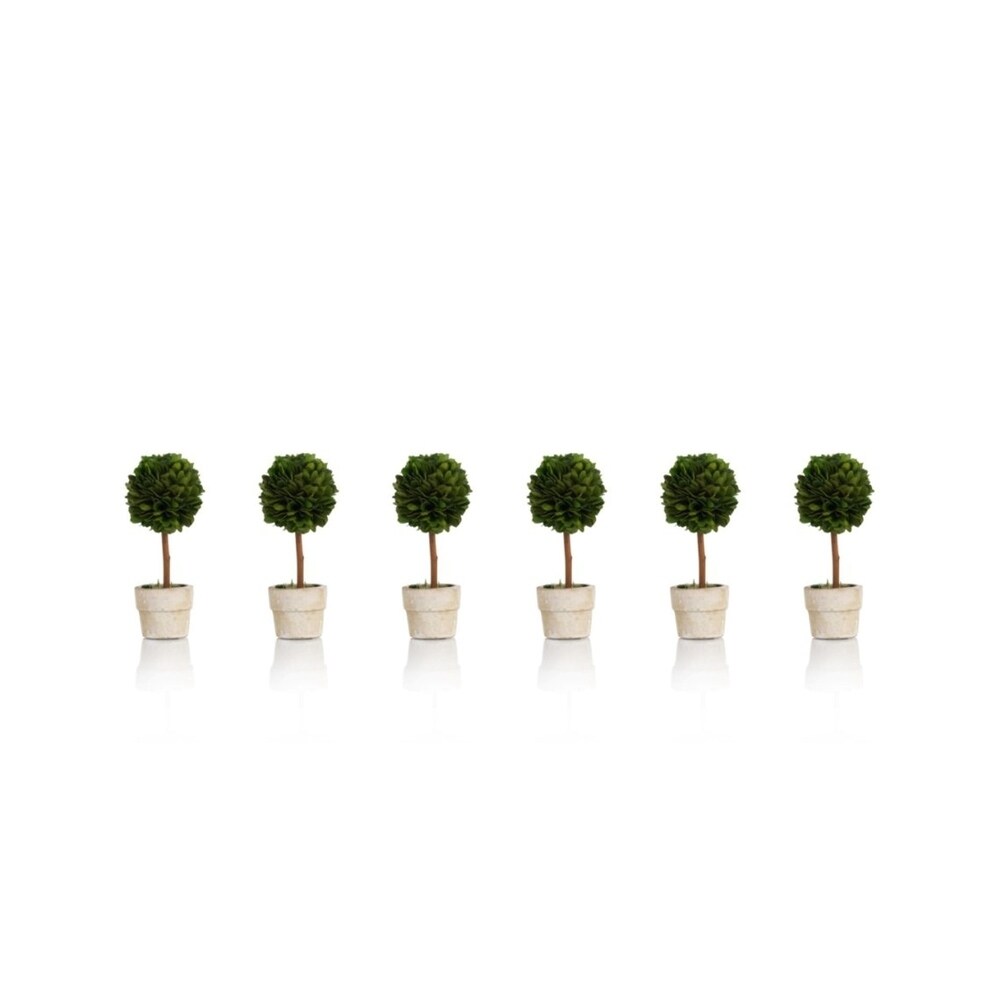 6 Tall Preserved Boxwood Topiary, Ball Shaped (Set of 6)