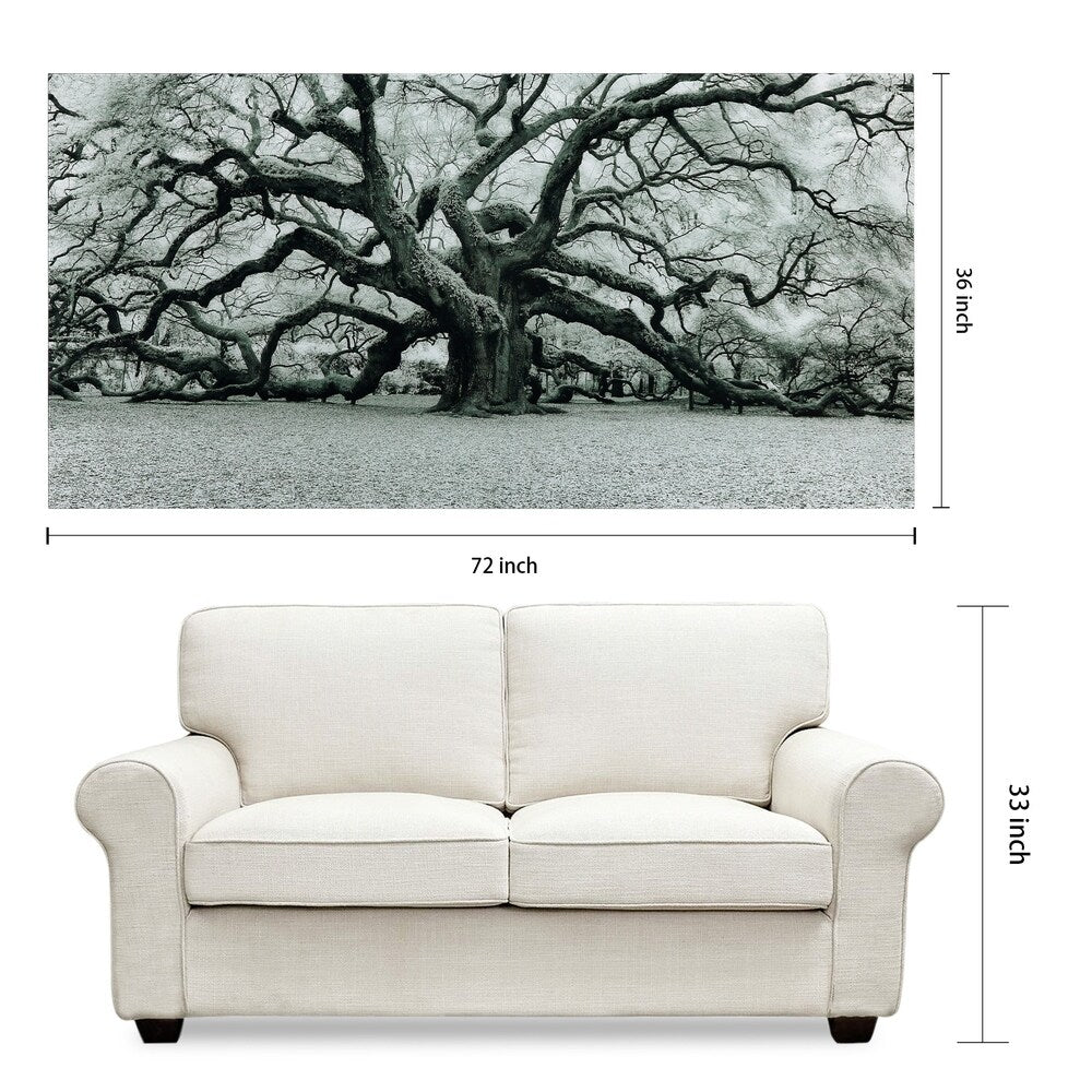 The Angel Oak Frameless Free Floating Tempered Art Glass Wall Art by EAD Art Coop