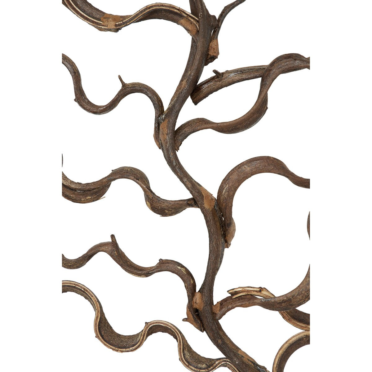 Wood Tree Branch Home Wall Decor with Black Frame - Brown - Roche River Decor