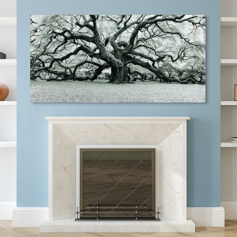 The Angel Oak Frameless Free Floating Tempered Art Glass Wall Art by EAD Art Coop