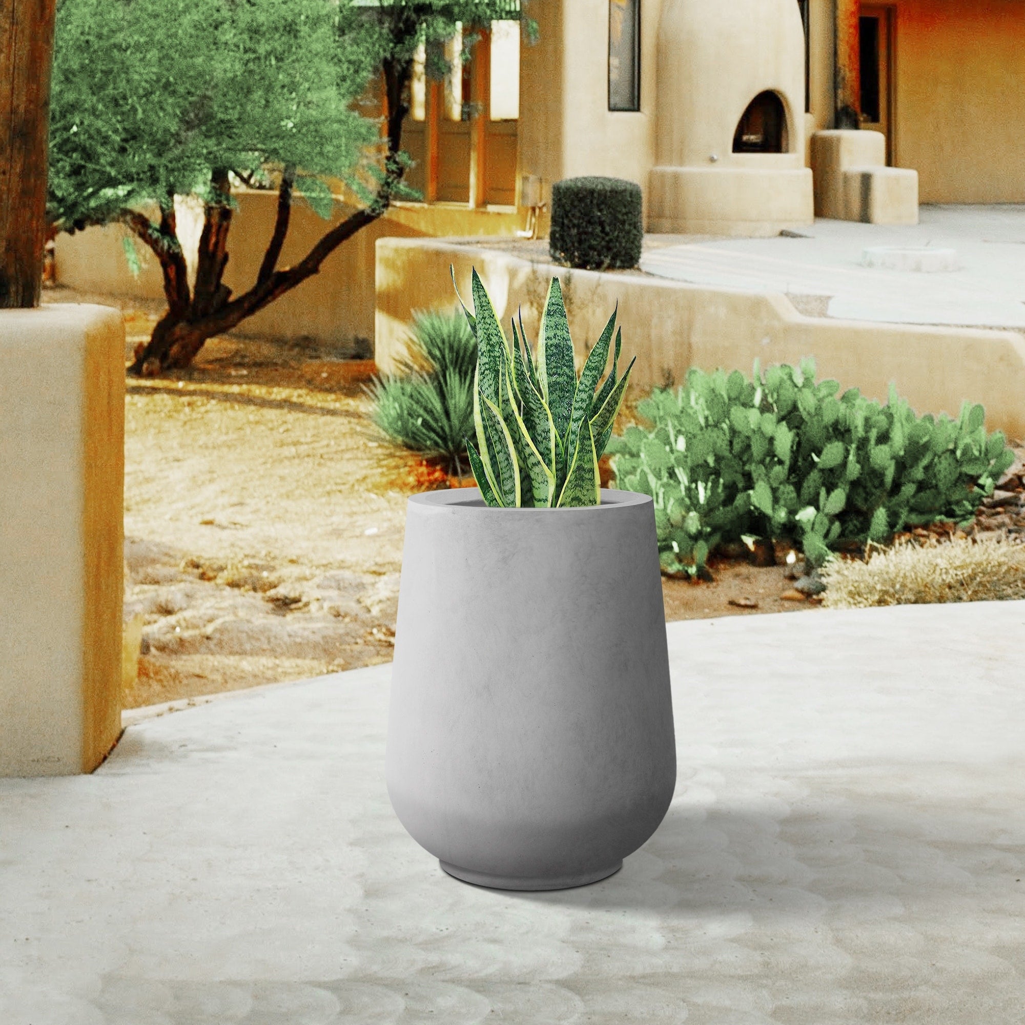 Plantara 14 H Round Raw Concrete Planter pot, Modern planter with Drainage Hole,Flower Pot for Outdoor