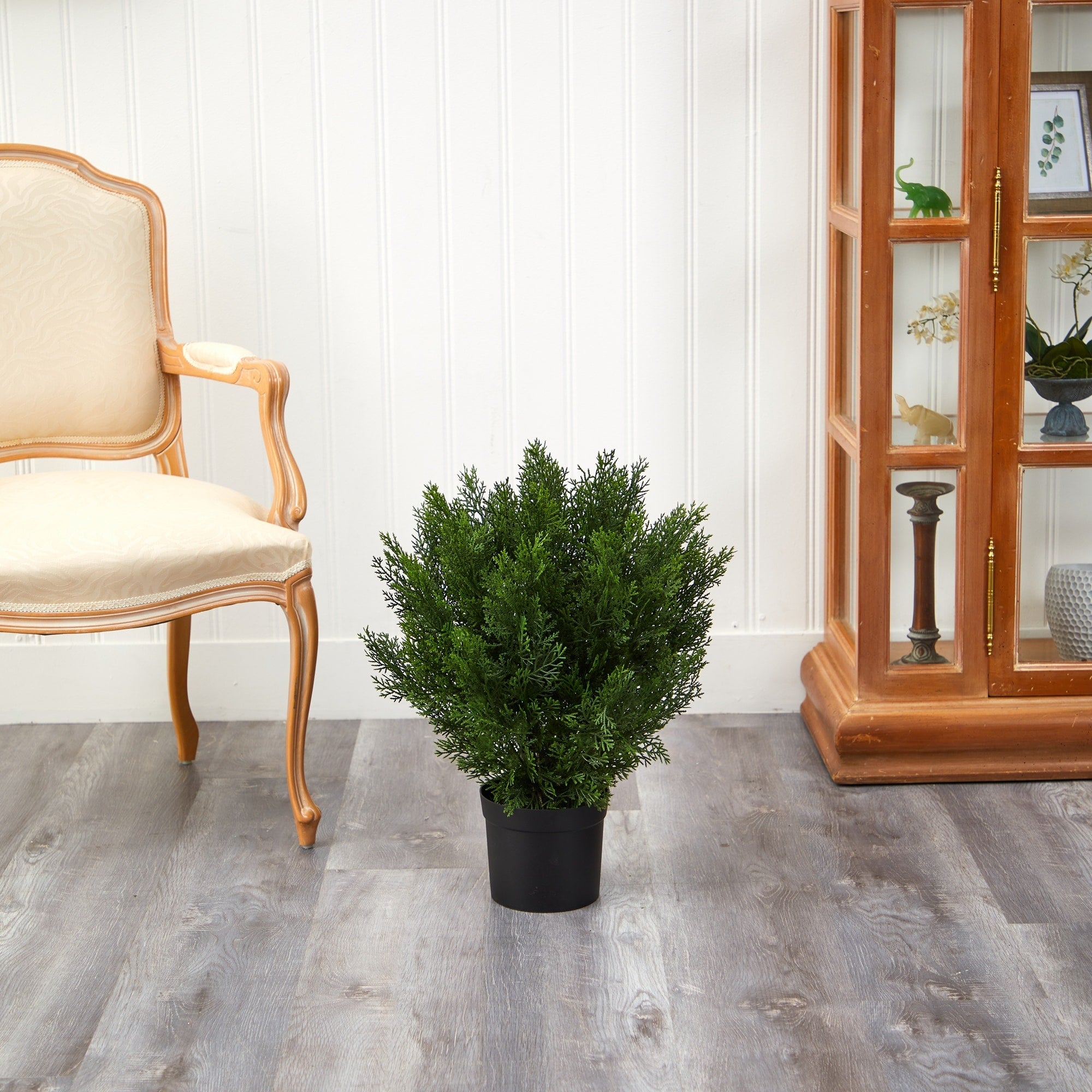 2-foot Indoor/Outdoor Cedar Bush - Green