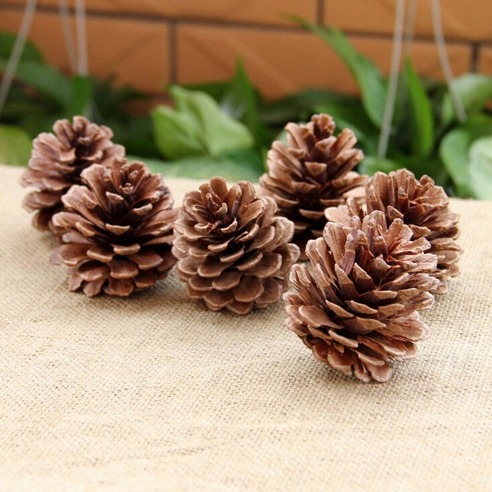 Homvare Natural Pine Cones Unscented Artificial Ornament for Fall, Thanksgiving and Christmas Decorations, 15 Pieces