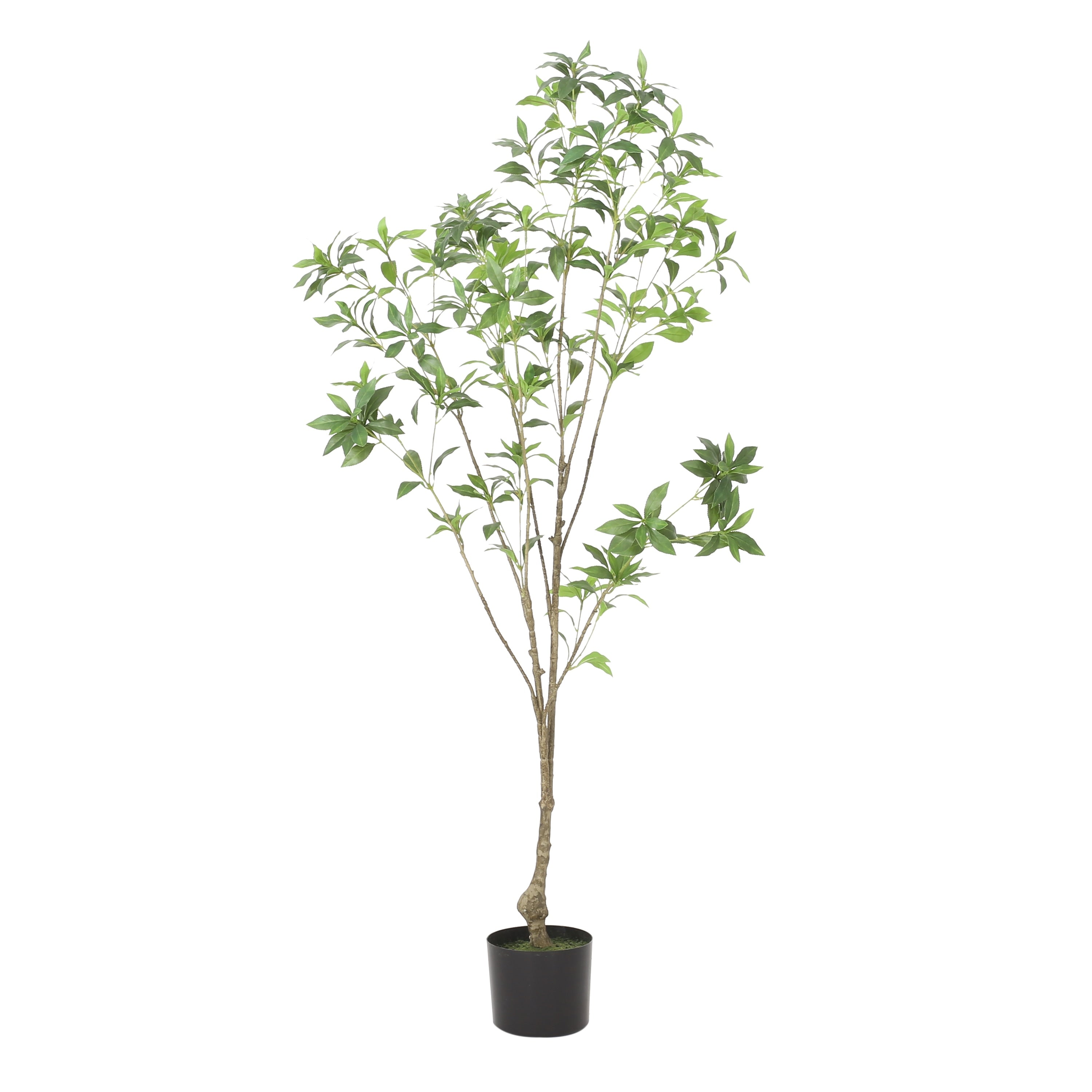 Bergweg Artificial Pieris Tree by Christopher Knight Home