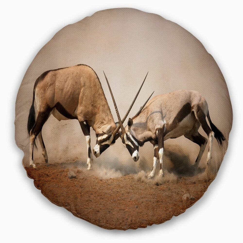 Designart 'Gemsbok Antelopes Fighting' African Wall Throw Pillow