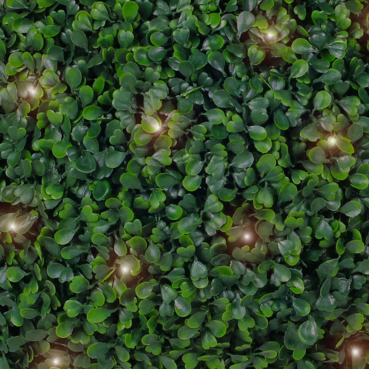 Boxwood Lighted Topiary Ball